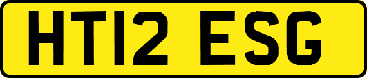 HT12ESG