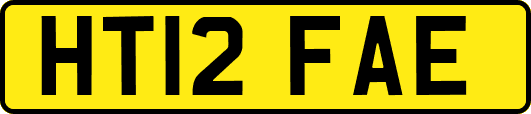 HT12FAE