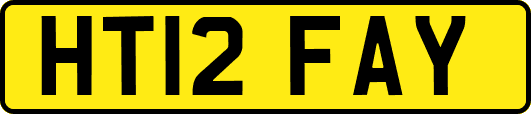 HT12FAY