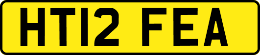 HT12FEA