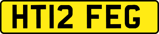 HT12FEG