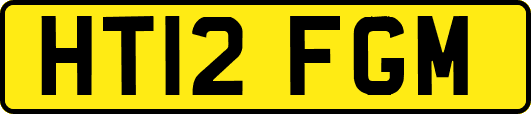 HT12FGM