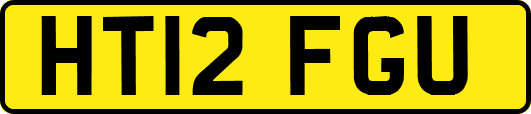HT12FGU
