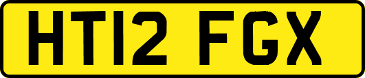HT12FGX