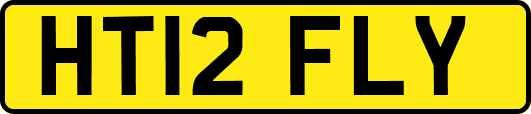 HT12FLY