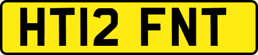 HT12FNT