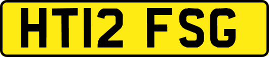 HT12FSG