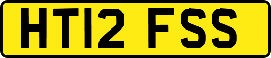 HT12FSS