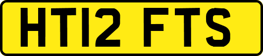 HT12FTS