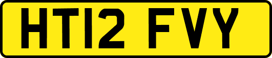 HT12FVY