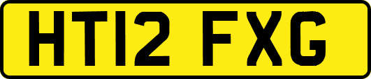 HT12FXG