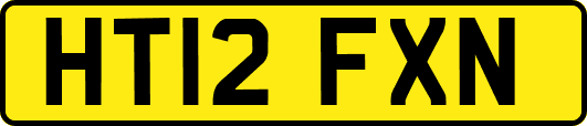 HT12FXN