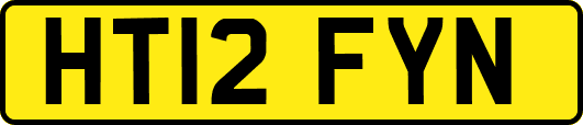 HT12FYN
