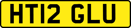 HT12GLU