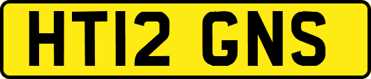 HT12GNS