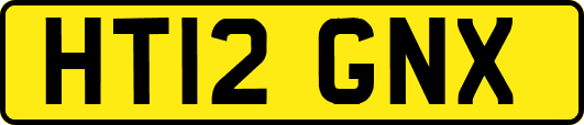 HT12GNX