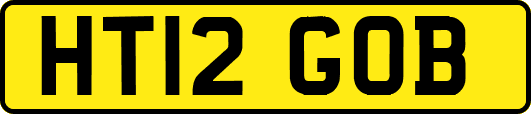 HT12GOB
