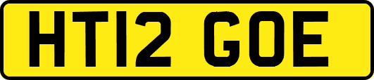 HT12GOE