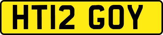 HT12GOY