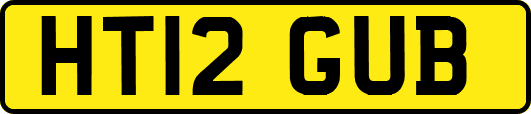 HT12GUB