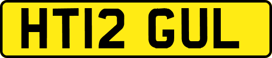 HT12GUL