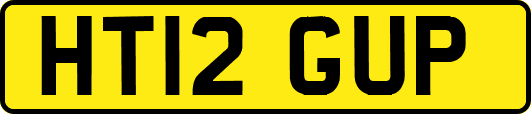 HT12GUP