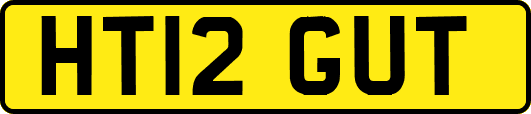 HT12GUT