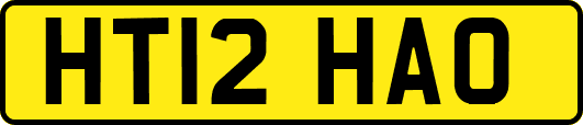 HT12HAO