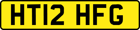 HT12HFG