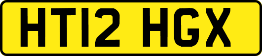 HT12HGX