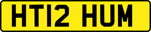 HT12HUM