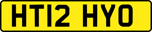 HT12HYO