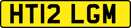 HT12LGM