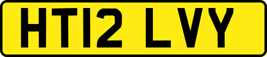 HT12LVY