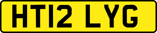 HT12LYG