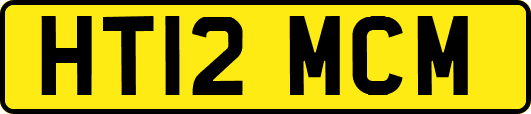 HT12MCM