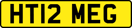 HT12MEG