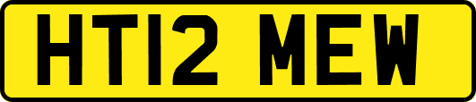 HT12MEW