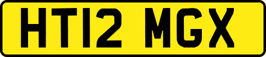 HT12MGX
