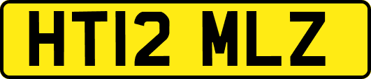 HT12MLZ