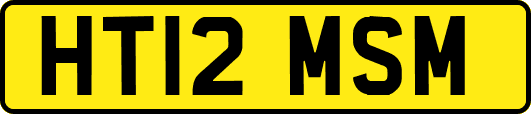 HT12MSM