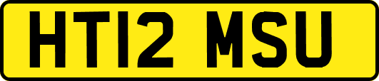 HT12MSU