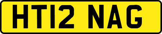 HT12NAG