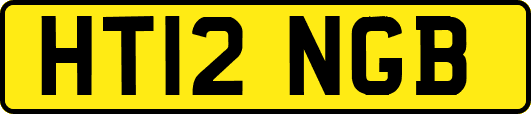 HT12NGB