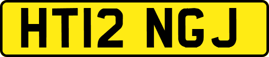 HT12NGJ