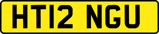 HT12NGU