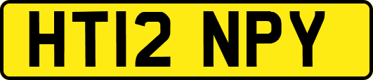 HT12NPY