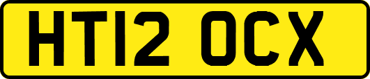 HT12OCX