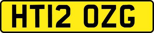 HT12OZG