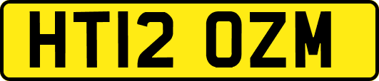 HT12OZM